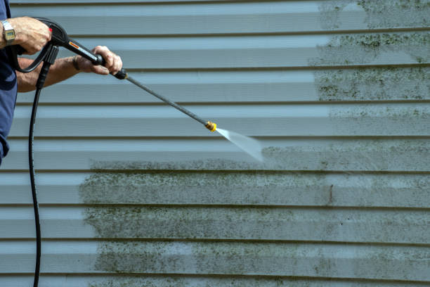 Best Deck Cleaning Services  in Lincoln, IL