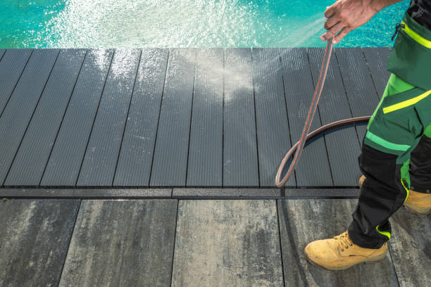 Best Roof Pressure Washing  in Lincoln, IL